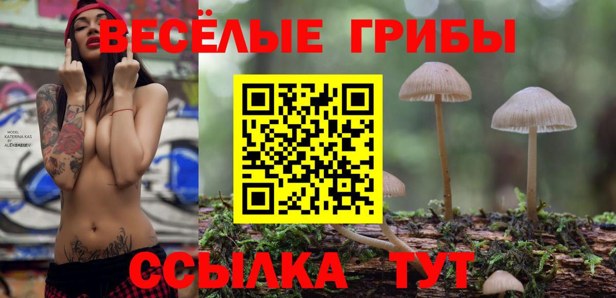 Кызыл  Псилоцибиновые грибы Cubensis  Псилоцибиновые грибы мухоморы  Вход с VPN 